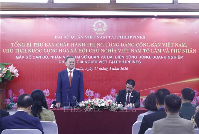 Kịp thời có các chính sách chăm lo cộng đồng người Việt Nam ở nước ngoài- Ảnh 1.