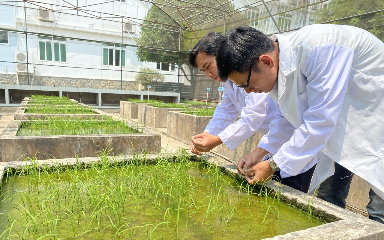 Khoa học công nghệ và hệ sinh thái giống: Đưa nông nghiệp Việt ra thế giới