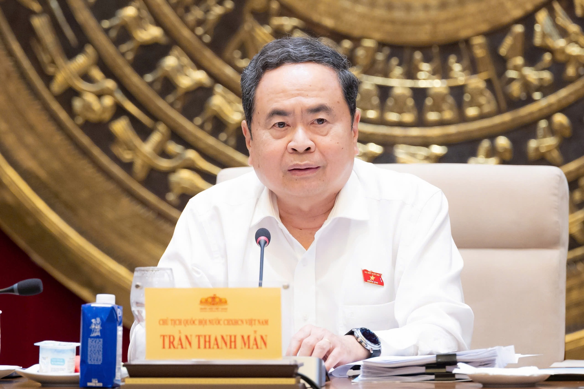 Chủ tịch Quốc hội Trần Thanh Mẫn: Tổng rà soát hệ thống VBQPPL là cuộc 'tổng kiểm kê về thể chế'- Ảnh 3.