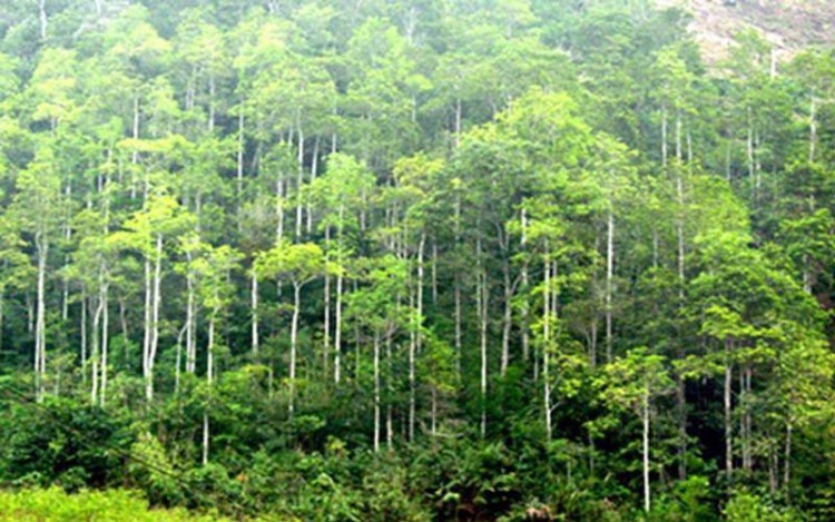 Chỉ đạo, điều hành của Chính phủ, Thủ tướng Chính phủ ngày 7/5/2026