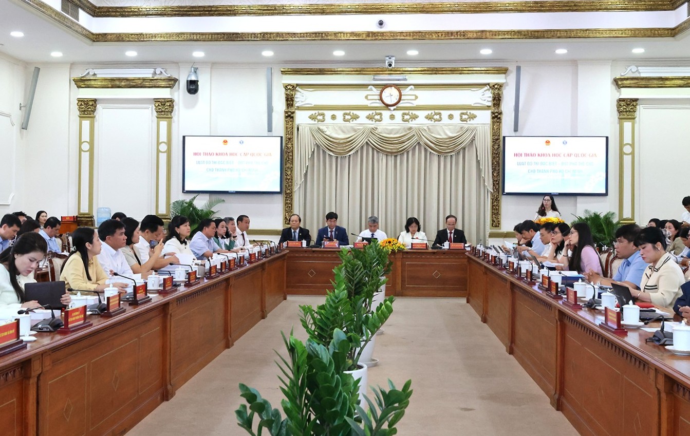 Kiến tạo khung thể chế vượt trội cho TPHCM- Ảnh 2.