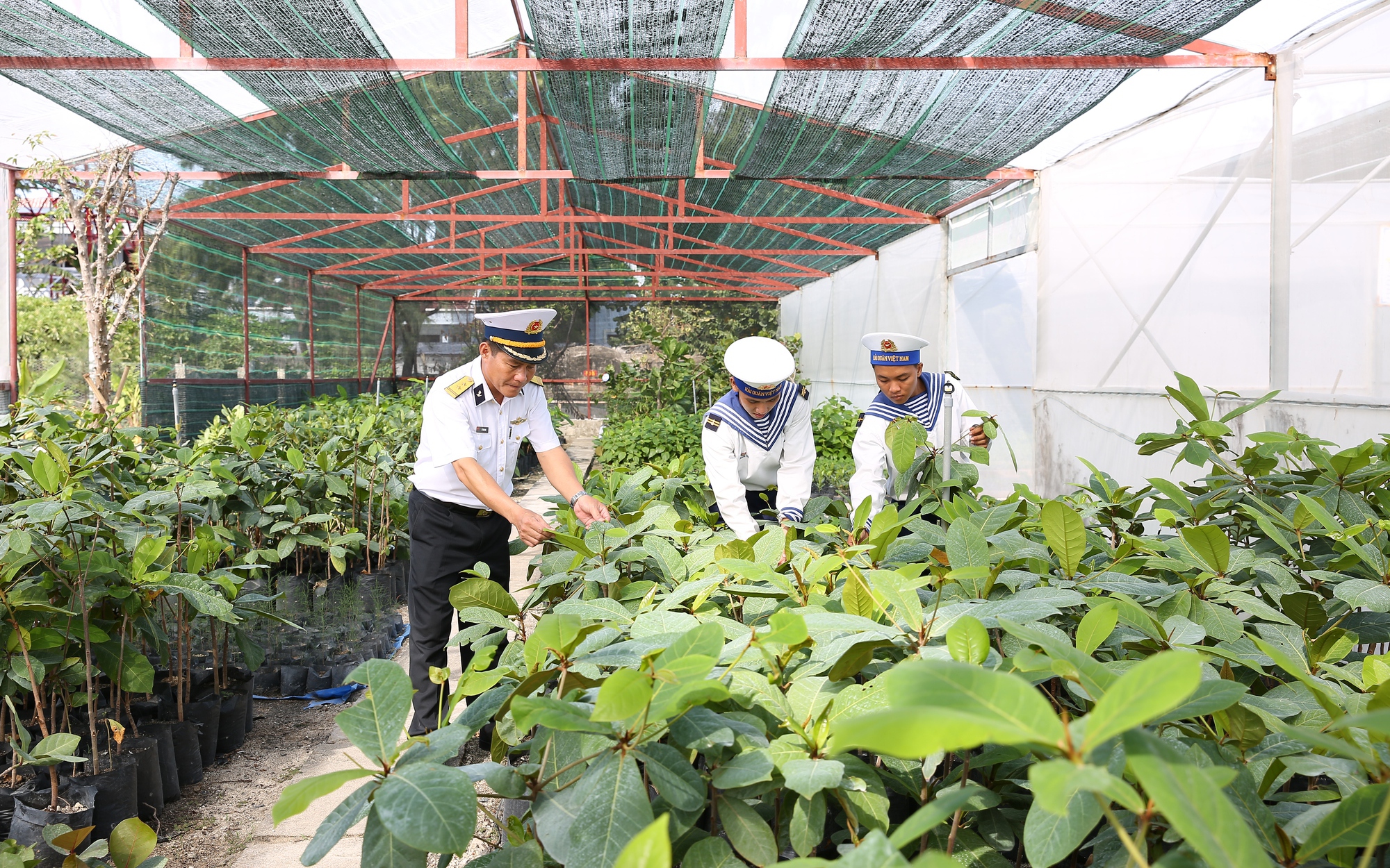 Những ‘cột mốc xanh’ ở Trường Sa