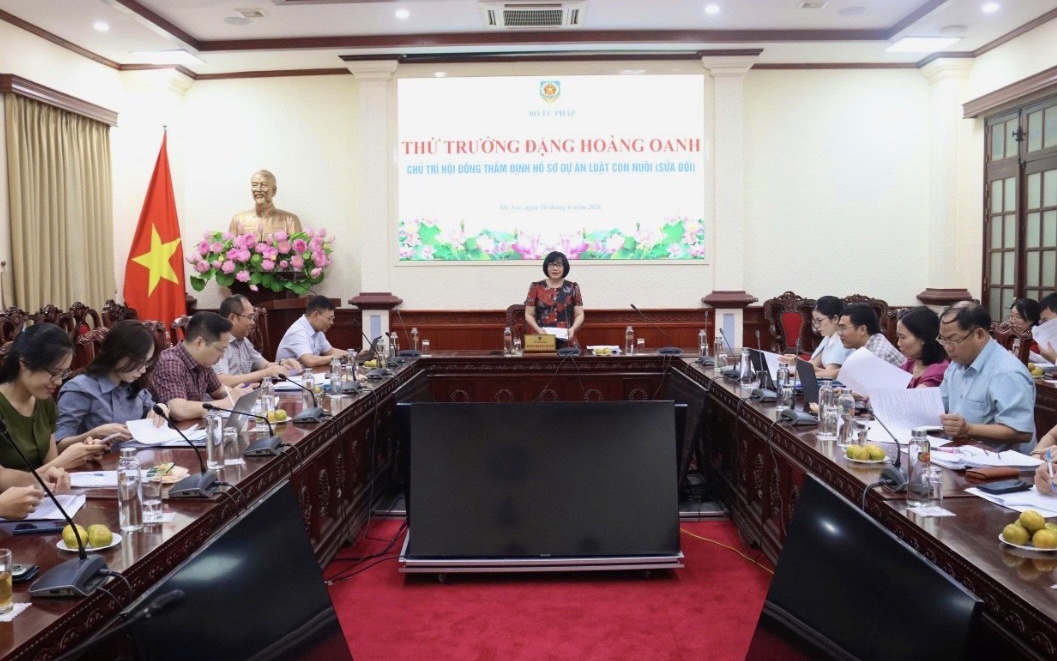 Sửa Luật Nuôi con nuôi để bảo đảm tốt nhất quyền t