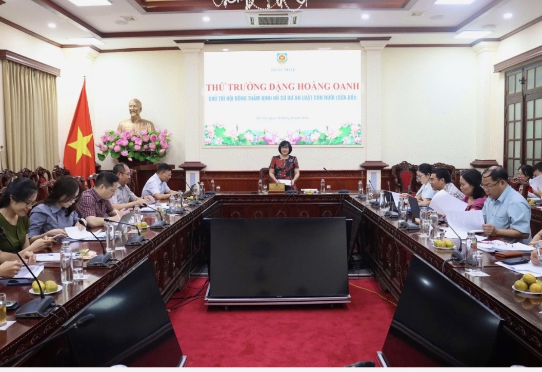 Sửa Luật Nuôi con nuôi để bảo đảm tốt nhất quyền trẻ em- Ảnh 1. Sửa Luật Nuôi con nuôi để bảo đảm tốt nhất quyền trẻ em- Ảnh 1.