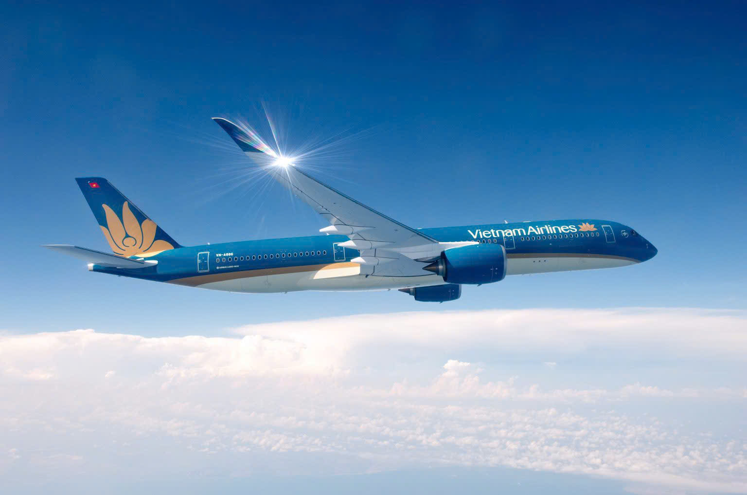 Vietnam Airlines chính thức khai thác đường bay thẳng Hà Nội - Amsterdam- Ảnh 1.