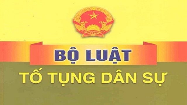 Đánh giá toàn diện kết quả thi hành Bộ luật Tố tụng dân sự- Ảnh 1.