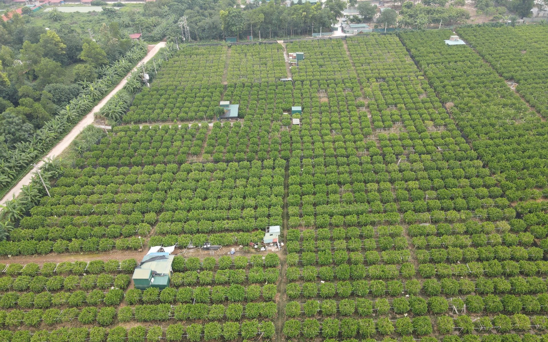 Đất mua của thôn trước 2014 có được bồi thường khi thu hồi?