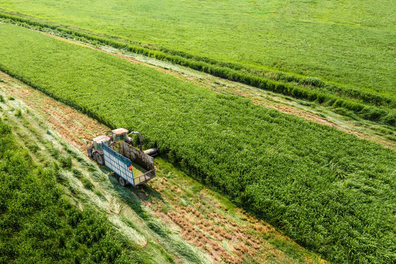Vinamilk tiếp tục là đại diện duy nhất của ngành sữa Việt Nam trong Fortune SEA 500- Ảnh 3.
