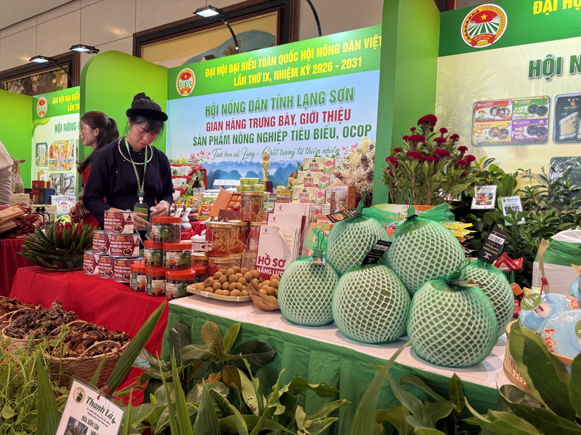 Nông sản Việt minh bạch nguồn gốc bước ra thị trường quốc tế- Ảnh 1.