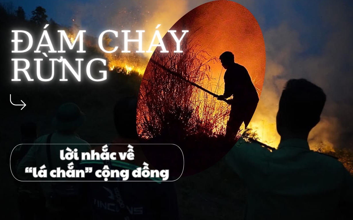 Đám cháy rừng và lời nhắc về ‘lá chắn’ cộng đồng