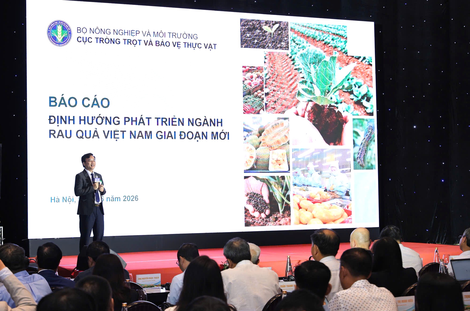 Chế biến sâu và chuyển đổi số: Động lực tăng trưởng mới trong thương mại nông sản Việt Nam - Trung Quốc- Ảnh 2.