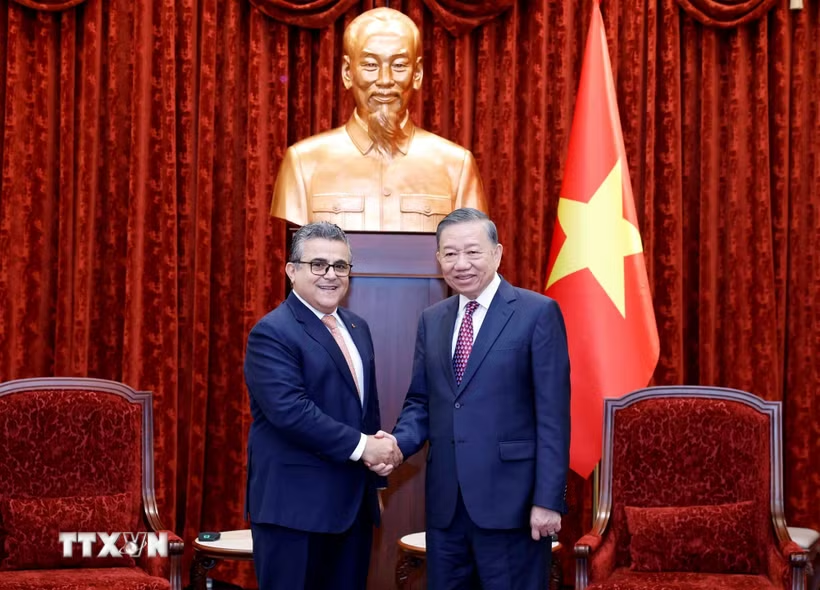 Việt Nam luôn ủng hộ sự nghiệp đấu tranh chính nghĩa của nhân dân Palestine- Ảnh 1.