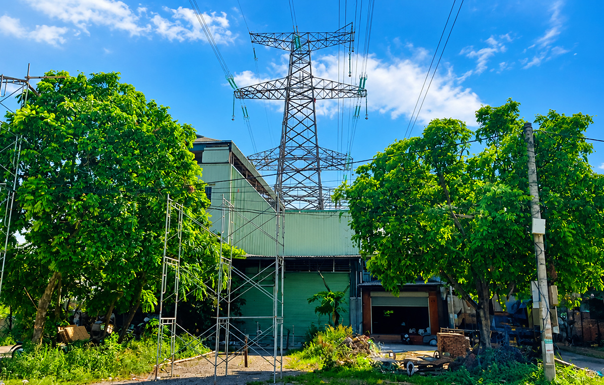 Đẩy nhanh tiến độ, đưa dự án đường dây 500/220 kV Nho Quan-Phủ Lý-Thường Tín về đích- Ảnh 2.
