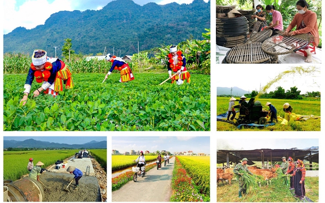 Giao kế hoạch đầu tư công vốn ngân sách trung ương cho các bộ, địa phương thực hiện Chương trình MTQG