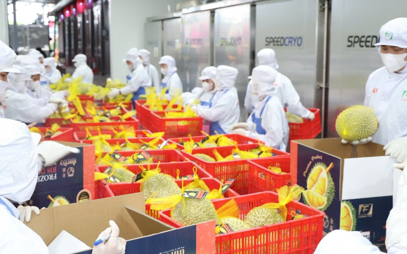 Xuất khẩu rau quả Việt Nam tăng tốc hướng tới mốc 10 tỷ USD