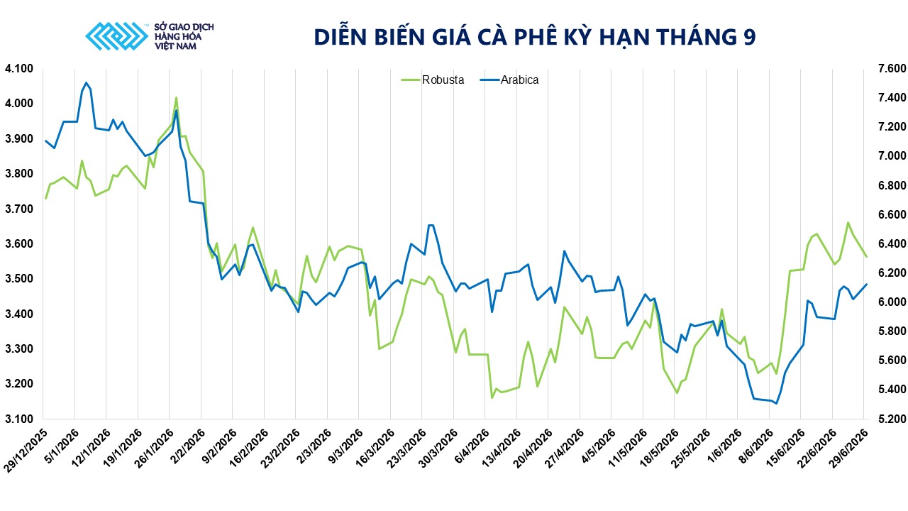 THỊ TRƯỜNG HÀNG HÓA: MXV-Index giảm nhẹ, dòng tiền tập trung vào nhóm họ đậu và cà phê- Ảnh 4.