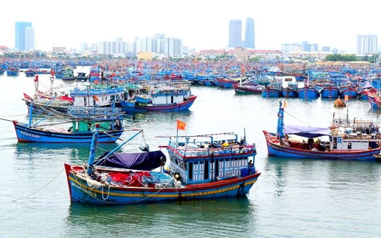 Phạt tối đa 2 tỷ đồng với hành vi vi phạm hành chính lĩnh vực thủy sản