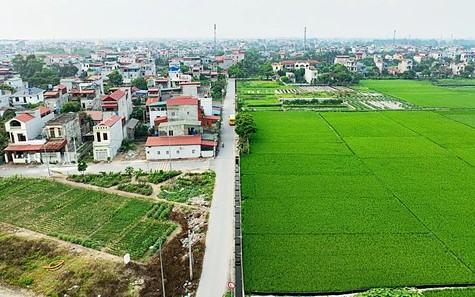 Đất lúa cạnh khu dân cư có được chuyển sang đất ở?