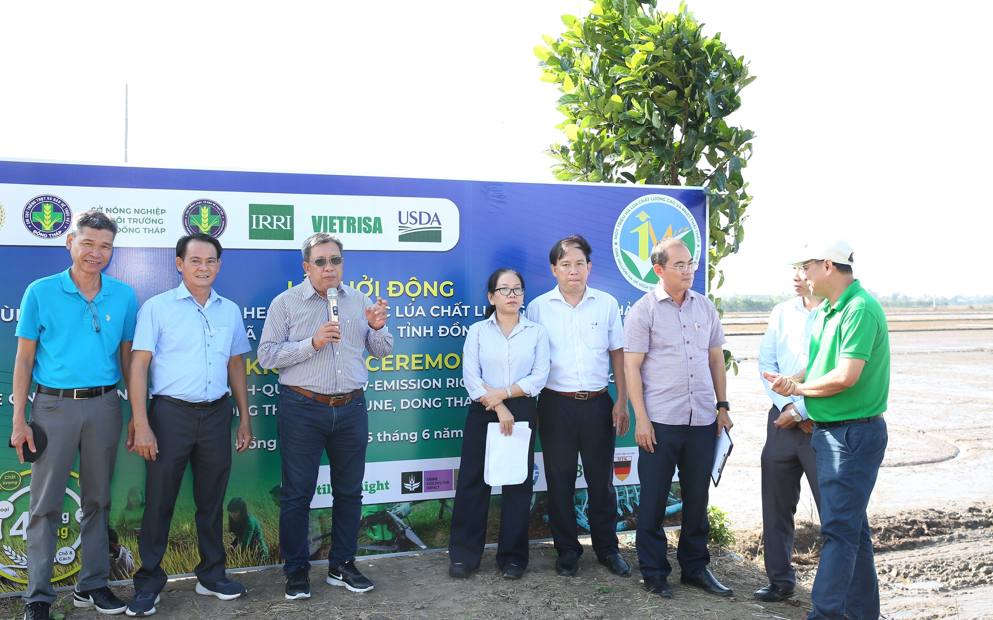 Vùng liên kết: 'Đầu kéo' mới cho Đề án 1 triệu ha lúa chất lượng cao ở ĐBSCL