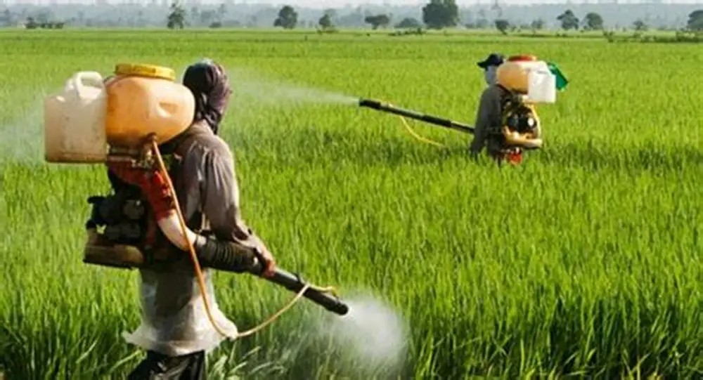 Chuyển mạnh từ 'tiền kiểm' sang 'hậu kiểm', tạo đà cho xuất khẩu nông sản- Ảnh 2.