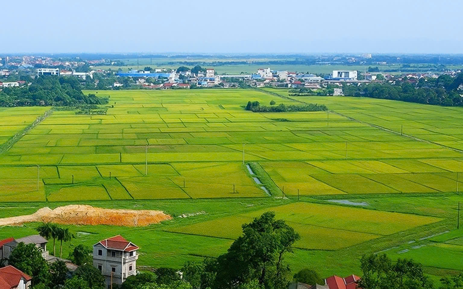 Kế hoạch triển khai cơ chế, chính sách đặc thù để xử lý vi p