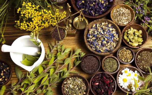 Phát huy vai trò của y học cổ truyền trong chăm sóc, nâng cao sức khỏe Nhân dân