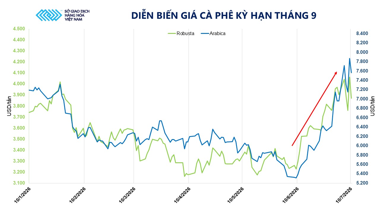 THỊ TRƯỜNG HÀNG HÓA: Tăng 5 tuần liên tiếp, cà phê tiếp tục là tâm điểm- Ảnh 2.