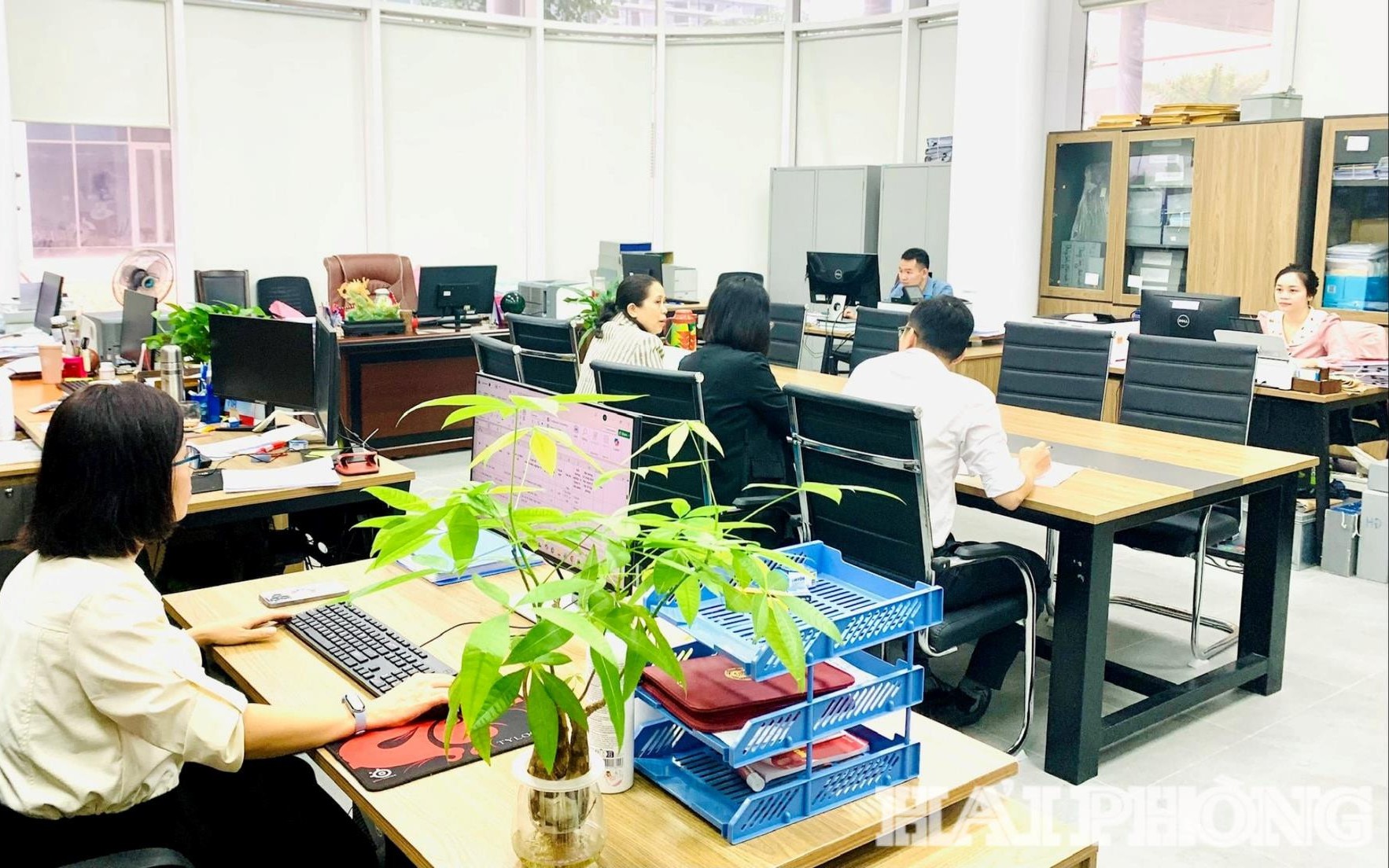 Căn cứ xếp ngạch công chức