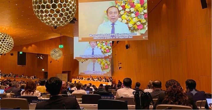 Việt Nam hướng tới hệ thống sở hữu trí tuệ hiện đại, minh bạch và hiệu quả- Ảnh 1.