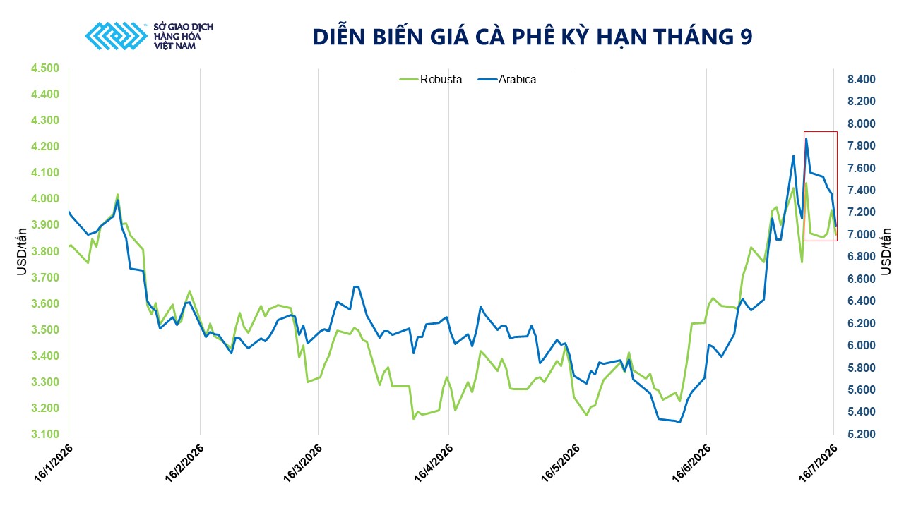 THỊ TRƯỜNG HÀNG HÓA: Cà phê trải qua đợt biến động giá mạnh- Ảnh 2.