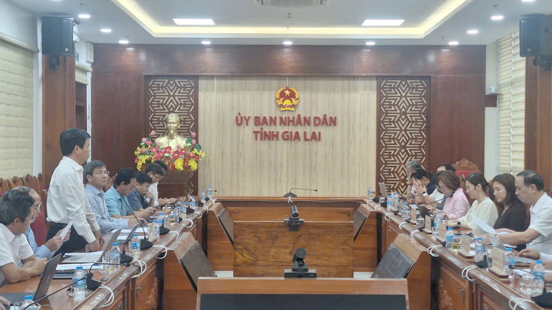 EVNNPT và ADB thẩm định tài trợ vốn ODA cho dự án đường dây 500 kV Bình Định - Krông Buk- Ảnh 1.