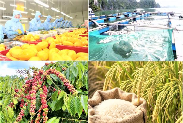 Xuất khẩu nông, lâm, thủy sản tăng hơn 10% so với cùng kỳ- Ảnh 1.