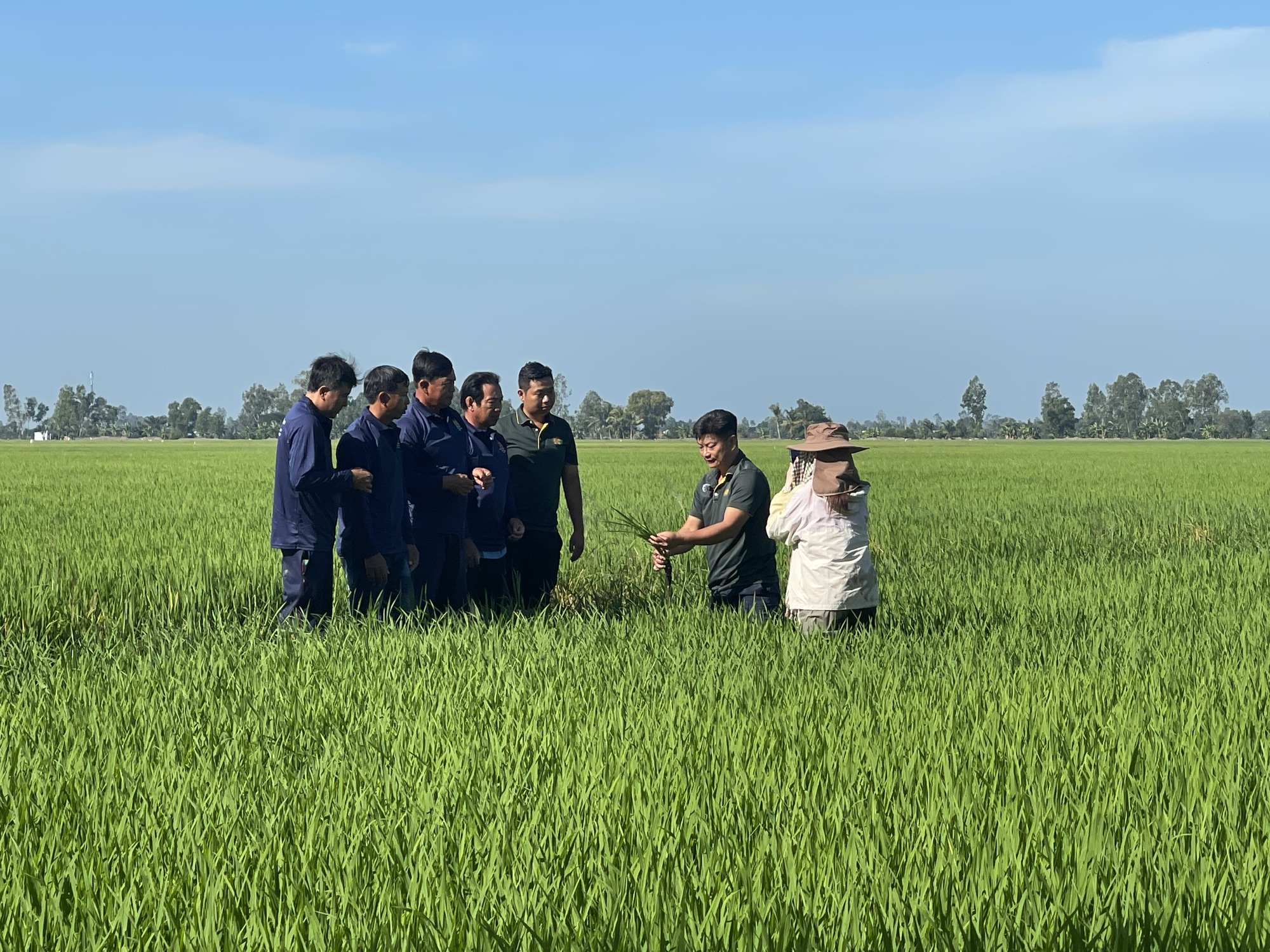Pelajaran 1: Petani padi berani melakukan sesuatu dengan cara yang berbeda - Foto 2.