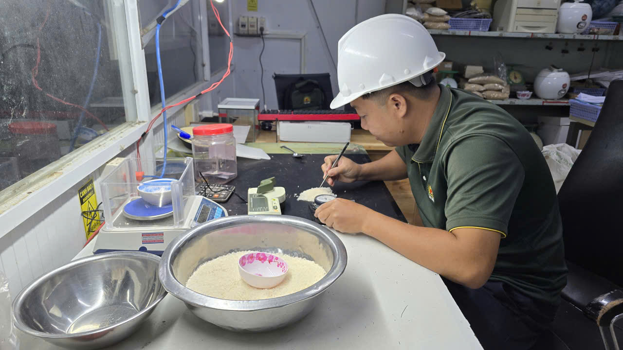 Bài 4: Để hạt lúa rời đồng mà không... rớt giá- Ảnh 3.