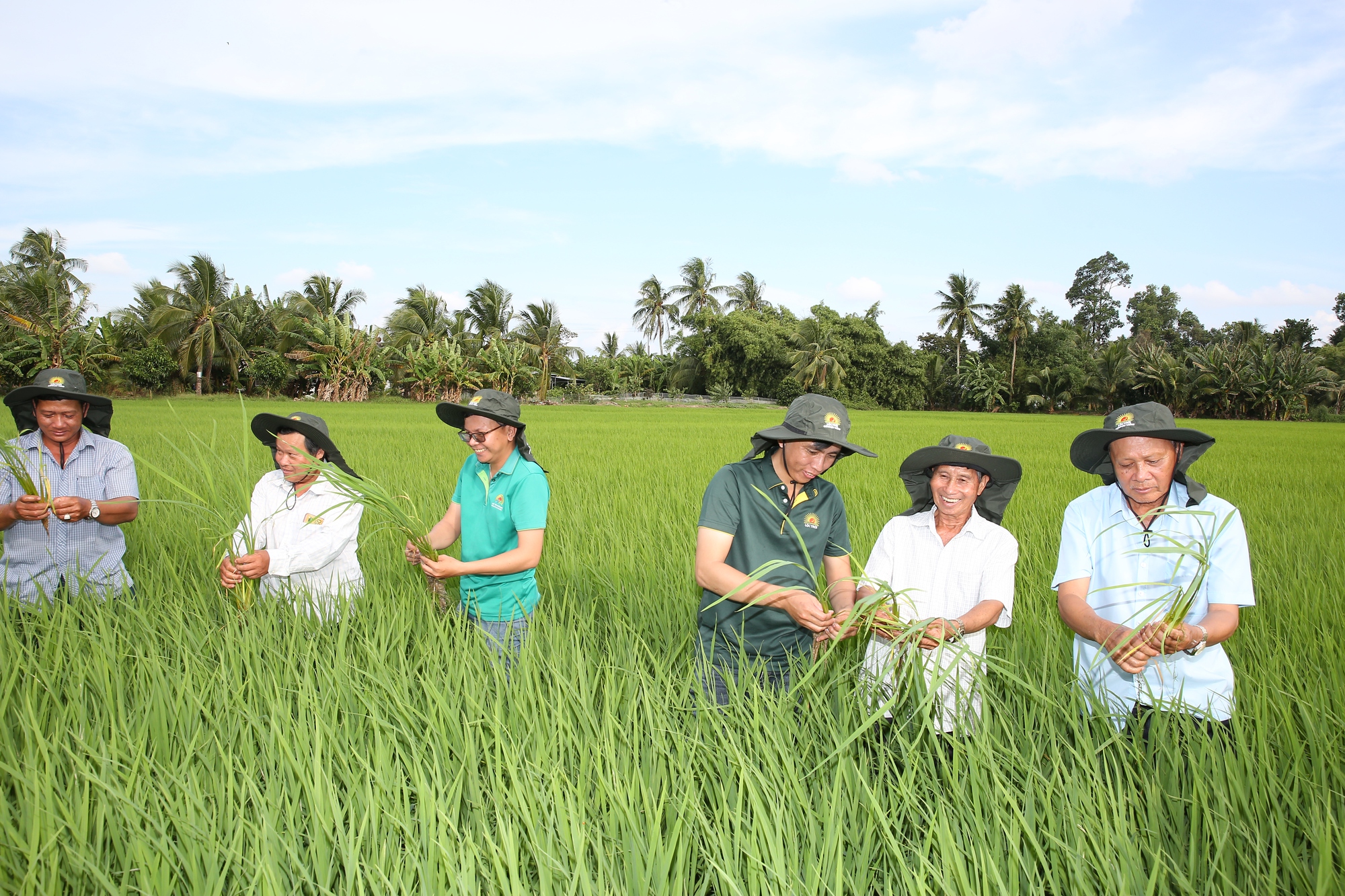 Bài 3: Ai ‘giữ nhịp’ cánh đồng 1 triệu ha lúa chất lượng cao?- Ảnh 1.