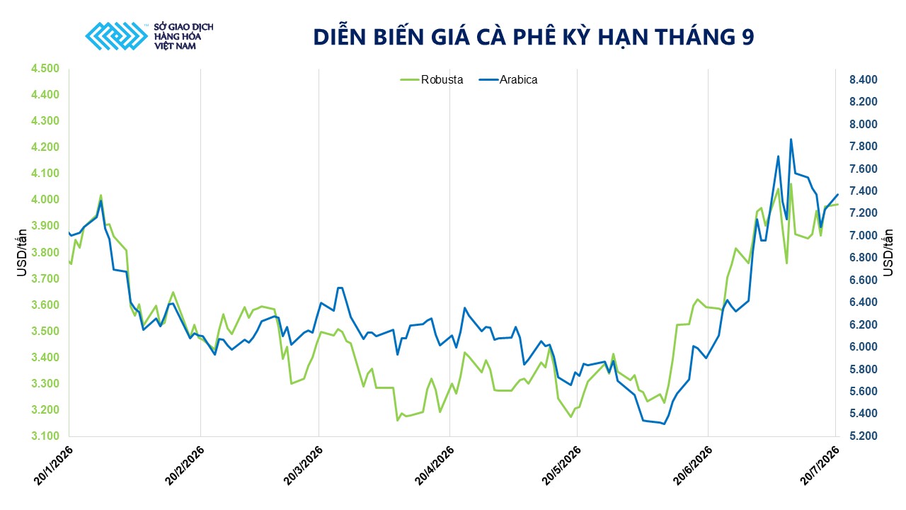 THỊ TRƯỜNG HÀNG HÓA: Tồn kho Arabica rơi xuống sát đáy lịch sử, giá cà phê đi lên- Ảnh 2.
