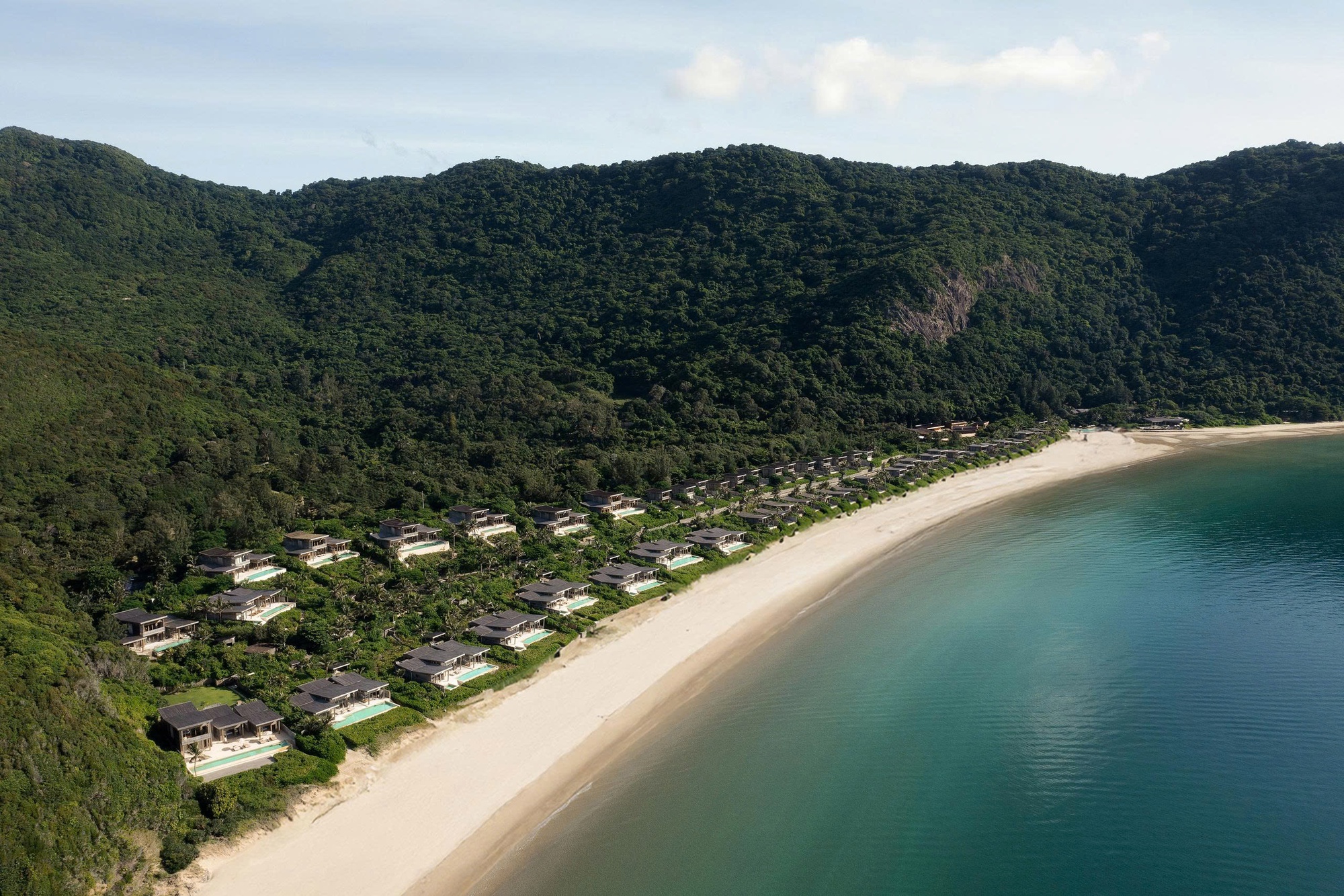 Six Senses Côn Đảo chào đón cột mốc 35.000 rùa con trở về đại dương- Ảnh 3.