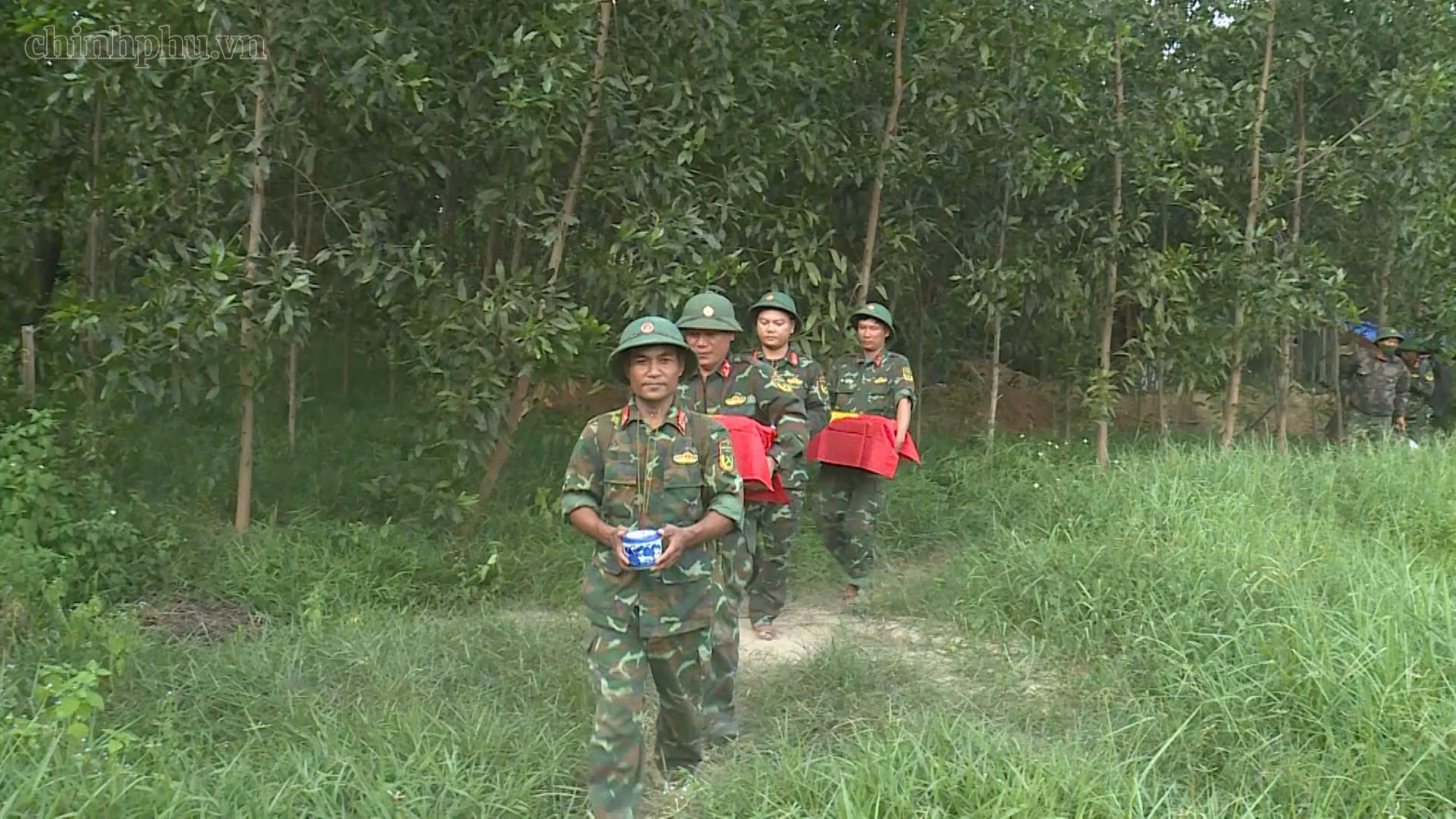 Đã tìm thấy 10 hài cốt liệt sĩ tại khu vực Câu Nhi, Quảng Trị- Ảnh 1.