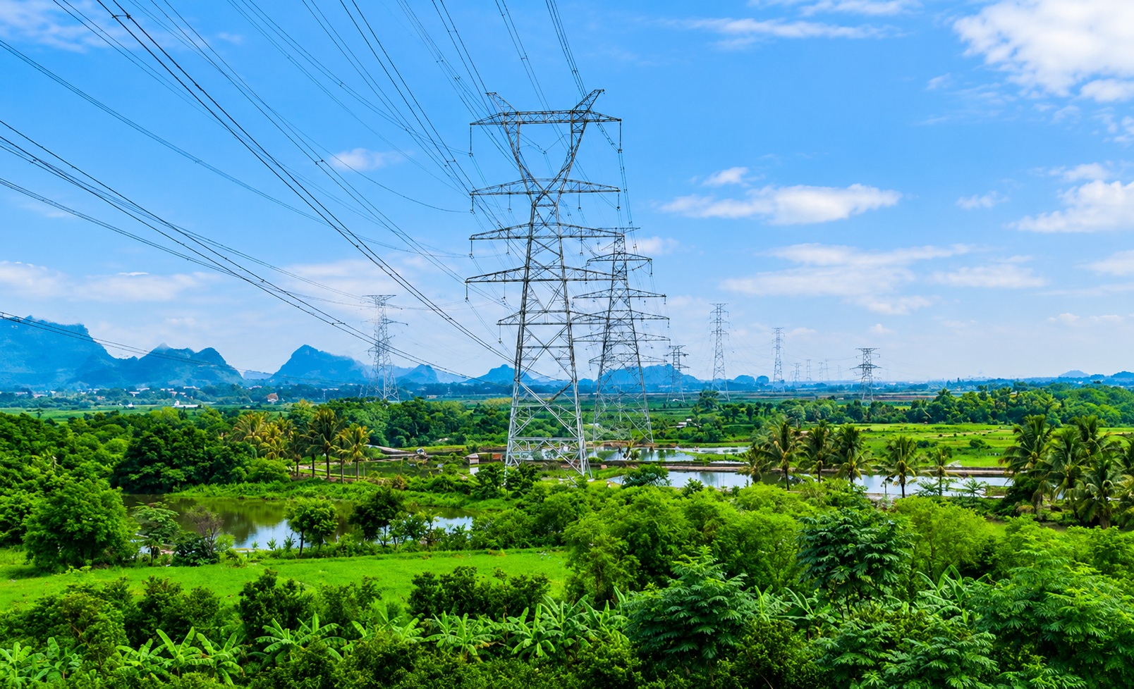 Hoàn thành đóng điện toàn tuyến đường dây 500/220 kV Nho Quan – Phủ Lý – Thường Tín- Ảnh 5.