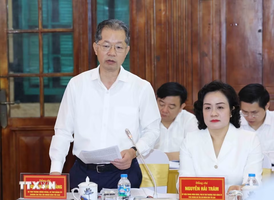 Xây dựng hệ thống tòa án nhân dân ngày càng chuyên nghiệp, hiện đại, liêm chính- Ảnh 3.