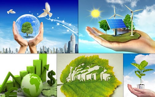 Tổ chức và hoạt động của Hội đồng quốc gia về phát triển bền vững