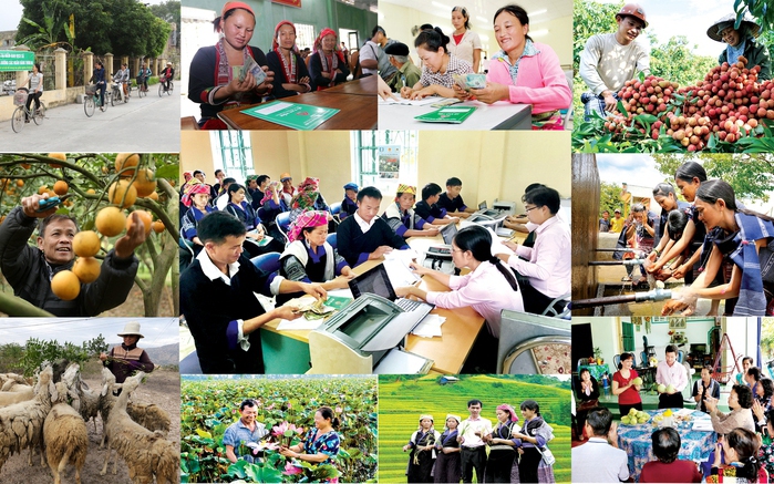 Giải thể BCĐ Trung ương thực hiện Nghị quyết số 70/NQ-CP về chính sách xã hội