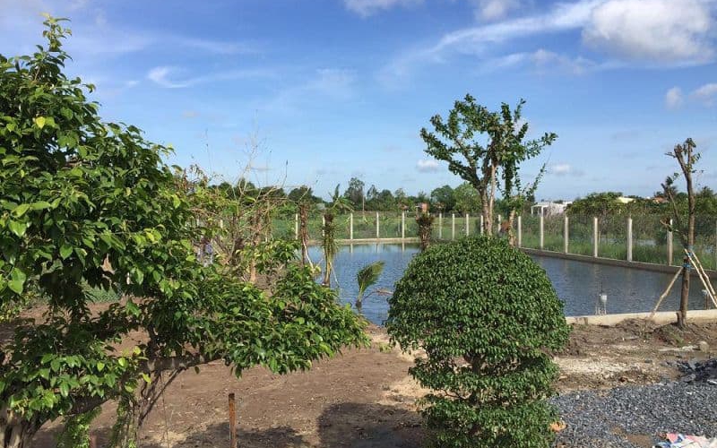 Đất sử dụng sai mục đích, có được bồi thường tài sản khi thu hồi?