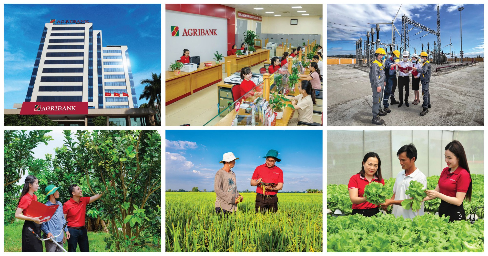 Tăng vốn điều lệ - đòn bẩy để Agribank tiếp tục dẫn dắt dòng vốn cho nền kinh tế- Ảnh 1.