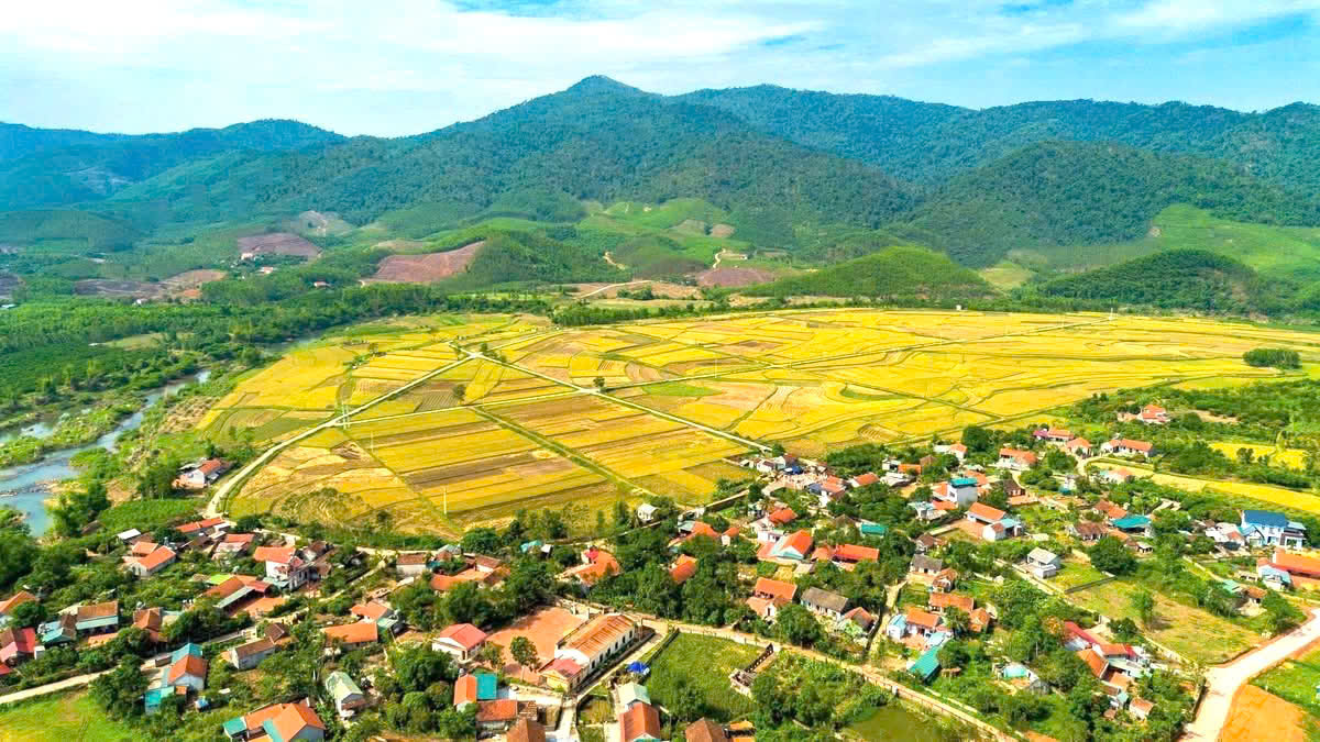 Đồng bào vùng cao: Hiến đất, chặt cây, mở lối để làm đường- Ảnh 7.