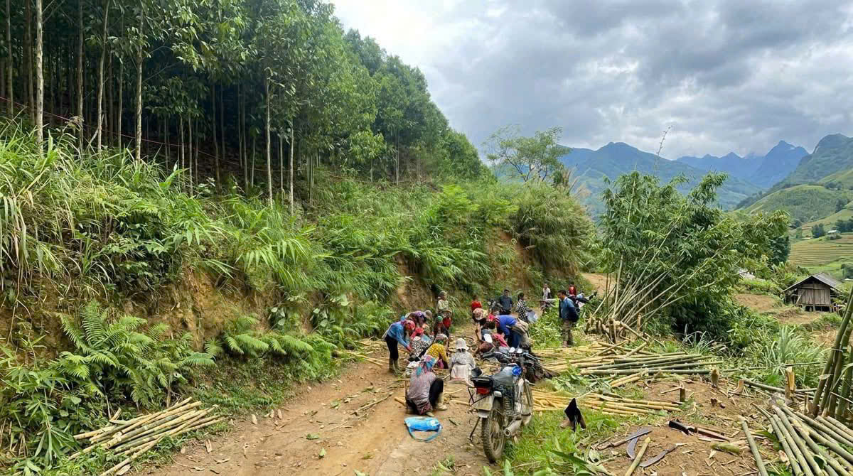 Đồng bào vùng cao: Hiến đất, chặt cây, mở lối để làm đường- Ảnh 12.