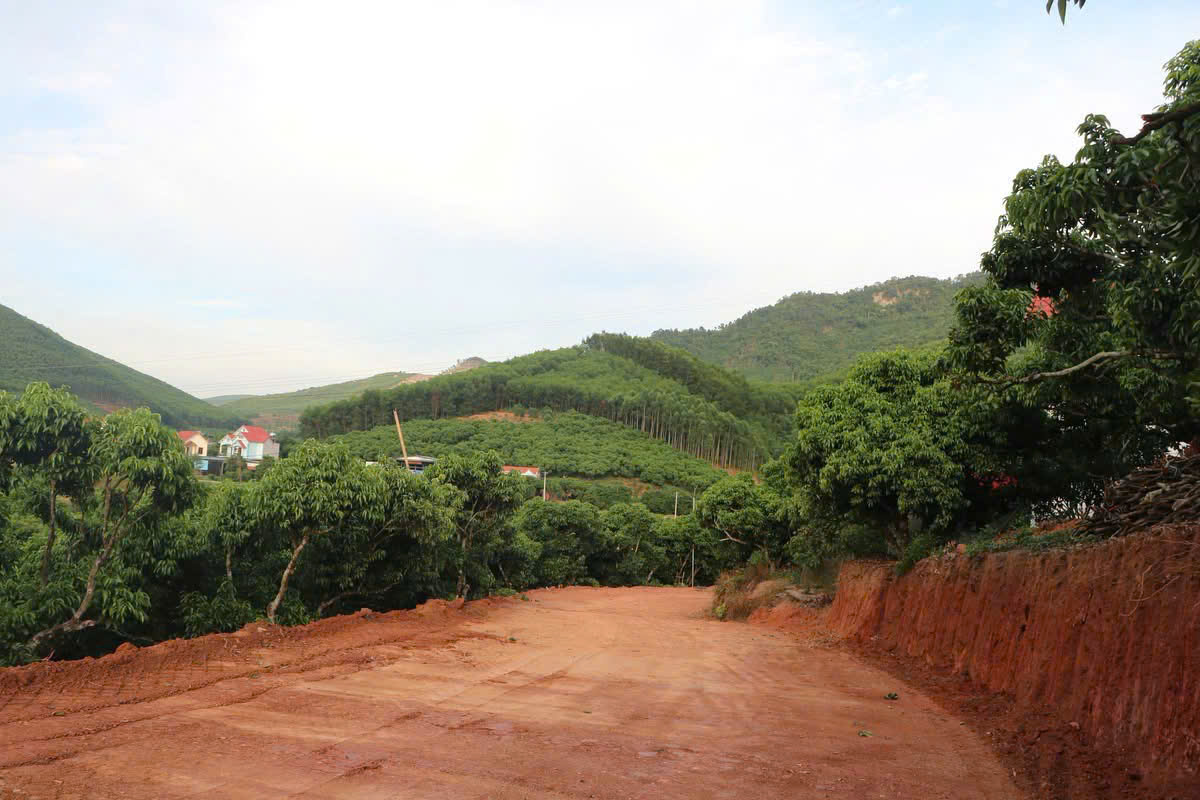 Đồng bào vùng cao: Hiến đất, chặt cây, mở lối để làm đường- Ảnh 3.