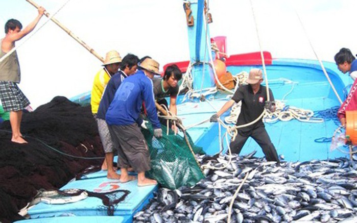 Kế hoạch khắc phục khuyến nghị của EC về chống khai thác IUU