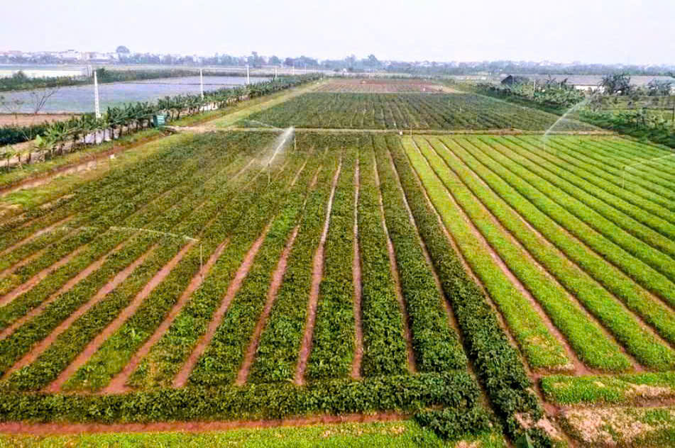 Hà Nội: Xây dựng dữ liệu đất đai đi trước một bước, tạo nền tảng quản trị hiện đại- Ảnh 1.