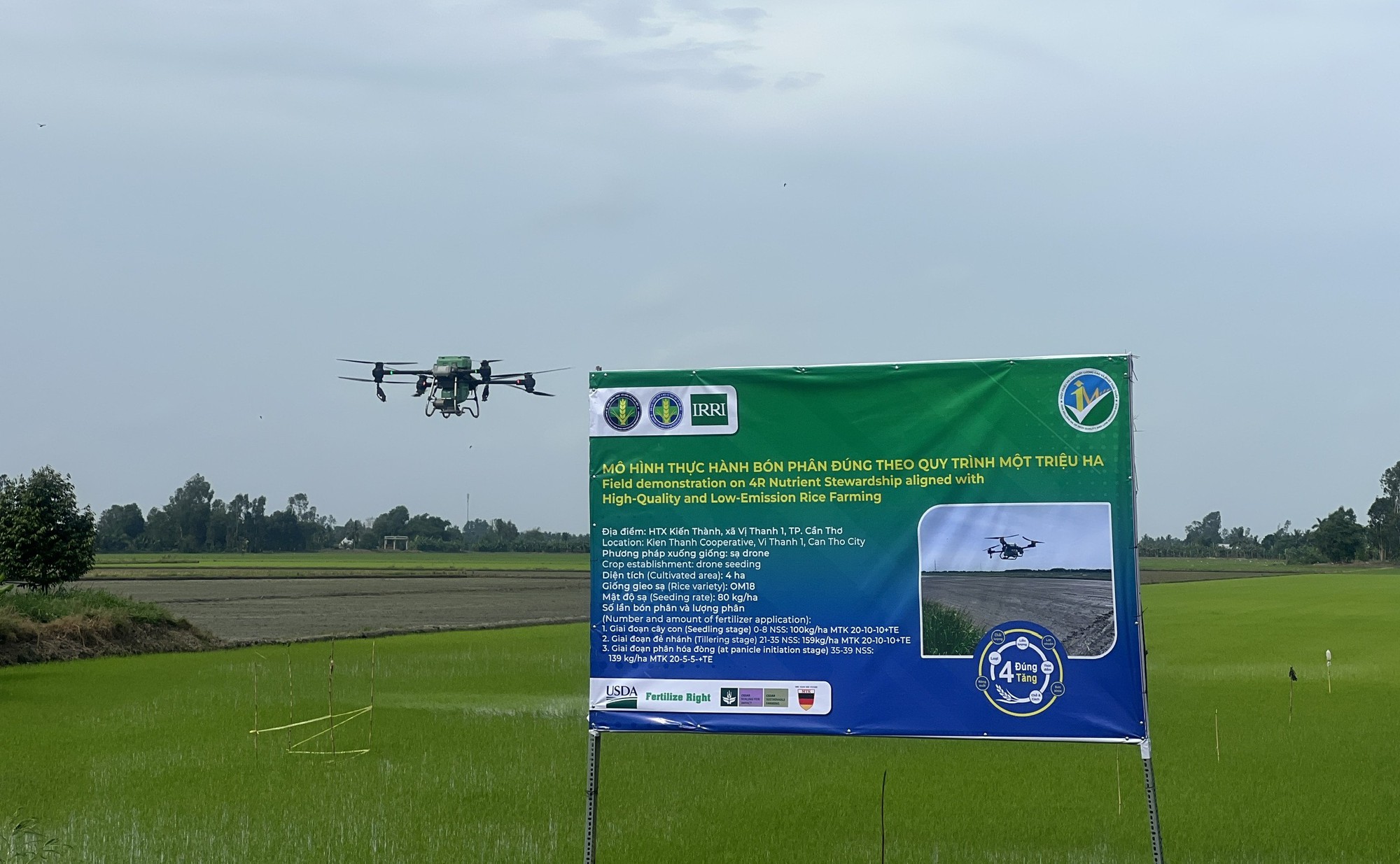 Nông dân phải là trung tâm khi nhân rộng Đề án 1 triệu ha lúa chất lượng cao, phát thải thấp- Ảnh 1.